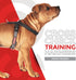 EzyDog Crosscheck Harness - Dog Training No Pull Harness, Escape Proof, Reflective, Comfortable Fit (S, Blue)
