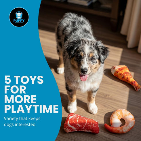 Puppy Play Toys 5-Pack: Set Squeaky Dog Toys Realistic Steak, Chicken Leg & Shrimp Plush Chew Toys for All Dog Sizes