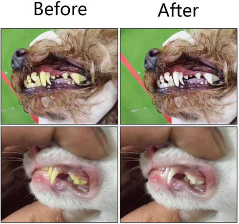Orgrimmar 2 PCS 3-Sided Pet Toothbrush for Dogs and Cats, Dental Care, Removes Bad Breath and Tartar