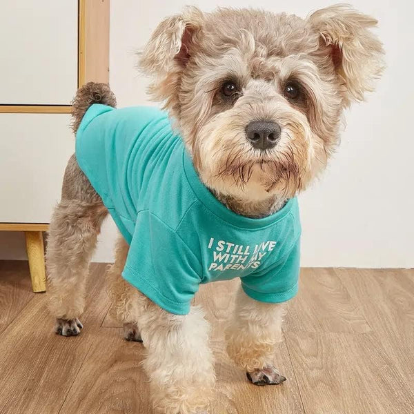 Cute Dog T-Shirt for Medium Dogs, Breathable Soft Dog Costume, Pet Pullover Jumper, Cat Clothes (L-(10~17lb),