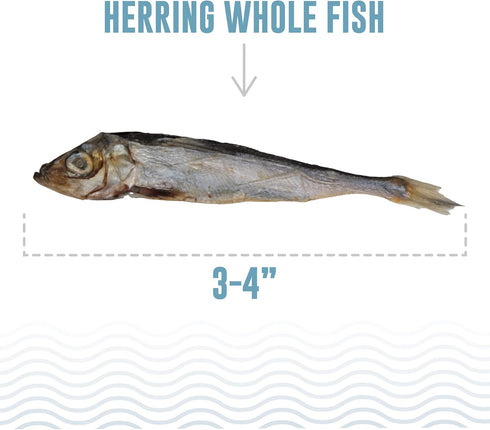 Icelandic+ Whole Fish Herring, 3oz Bag, Dog Treats, Pure Wild-Caught & Air-Dried, Single Ingredient Snack