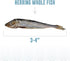 Icelandic+ Whole Fish Herring, 3oz Bag, Dog Treats, Pure Wild-Caught & Air-Dried, Single Ingredient Snack