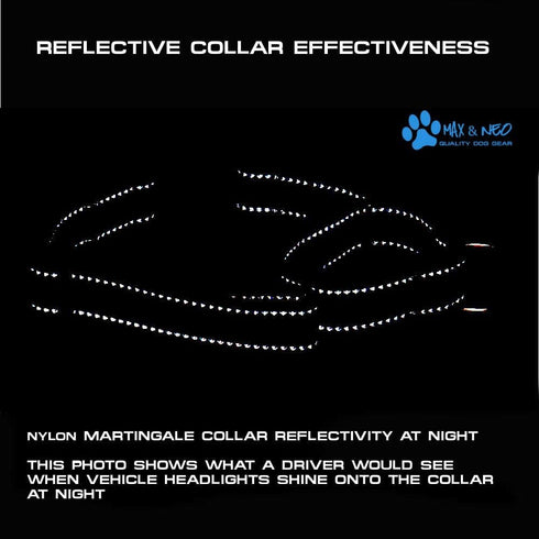 Nylon Martingale Collar by Max and Neo - We Donate a Collar to a Dog Rescue for Every Collar Sold (X-SMALL, BLUE)