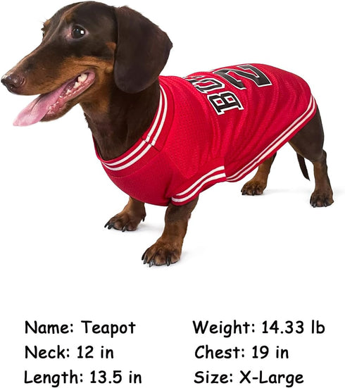 Dog Clothes Basketball Mesh Breathable T-Shirt,Pet Clothes Puppy Sportswear Spring/Summer Fashion Dog Shirt. (Red, Small)