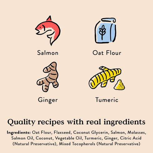 Bocce's Bakery Dailies Good Hair Dog Treats, Wheat-Free Salmon Recipe for Skin & Coat Support, 6 oz