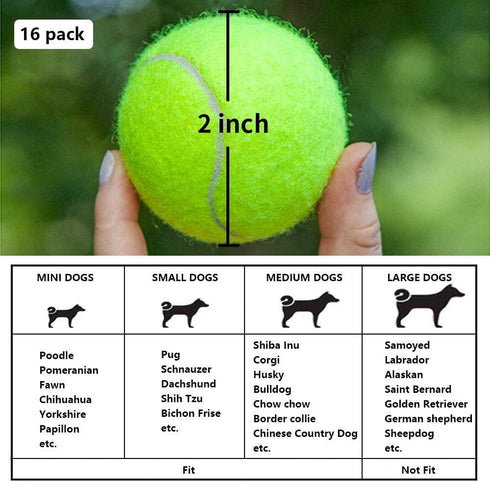 BESTHLS 16 Pack Pet Ball for Dog Small 2inch Tennis Balls for Tiny Small Dogs, Fetching Exercise & Training
