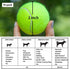 BESTHLS 16 Pack Pet Ball for Dog Small 2inch Tennis Balls for Tiny Small Dogs, Fetching Exercise & Training