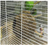 Hypeety Natural Coconut Hideaway - Parrot Birds Toys Decorative Bird Nest Cage for Pet