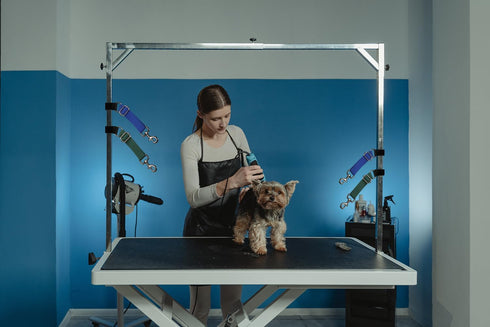 Pet Dog Grooming Arm Accessory, 2 Pcs Nylon Grooming Loops and Extension Straps for Dog Grooming Table