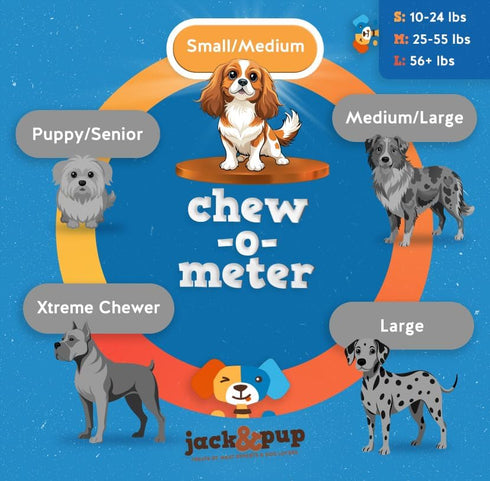 10 oz Jack&Pup Bully Stick Bites- - Small Dog Treats for Medium & Small Dogs, All Natural, Beef Pizzle Single