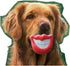 Prettysell Big Red Lip Rubber Puppy Dog Toy with Sound Squeaker for Pet Dogs, Squeaky Toy