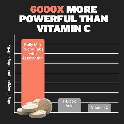 Bully Max 2-in-1 Puppy Vitamins - 30 Chewable Tablets for Development and Growth of Puppies - 2 Bottles