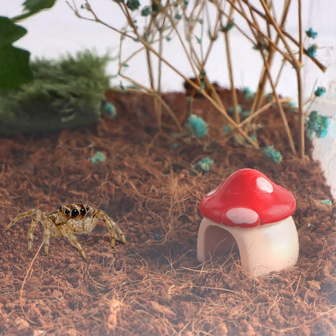 DQITJ 4 Pack Jumping Spider Mini Mushroom Decor Hermit Crab Cute Hide Decor for Hermit Crab Spider Snail Ant Millipede