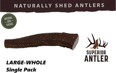Large Antler Chew, Whole, Single Pack, All Natural Premium Grade A, L=6-10”, Made in The USA