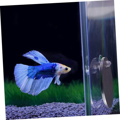 1 Set Acrylic Betta Training Mirror, Double Sided Round Mirror for Fish Aquarium Decoration and Training