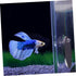 1 Set Acrylic Betta Training Mirror, Double Sided Round Mirror for Fish Aquarium Decoration and Training