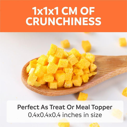 Pumpkin Treats for Dogs - Freeze Dried Pure Pumpkin, 2oz, Natural Single Ingredient for Digestion