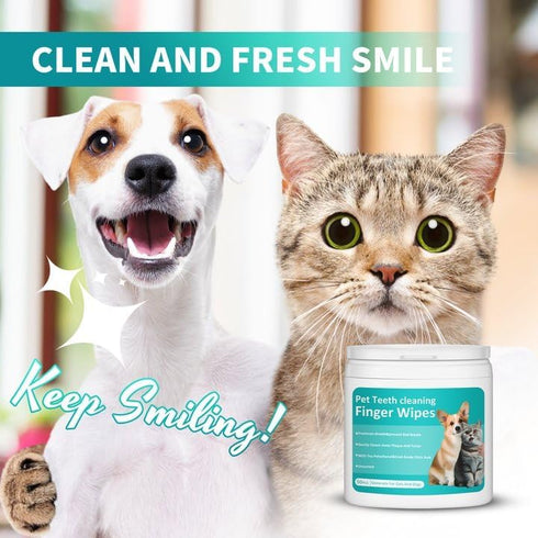 PITHER Dog Teeth Cleaning Wipes, Disposable Gentle Dental Finger Wipes for Dogs & Cats, 50 Counts for Freshening Breath