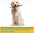 Esophagus Dog Treats - Large Gullet Sticks for Dogs, 12 Inches, 20 Count - 100% Natural Beef Jerky