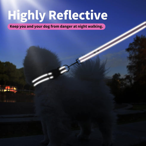 IVY&LANE Reflective Dog Collar and Leash Set, Breathable Nylon Pet Collar, Adjustable Neoprene Padded for Small Medium