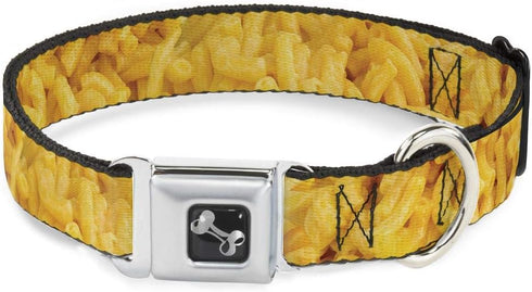 Dog Collar Seatbelt Buckle Mac Cheese Vivid, 1.5 Inch Wide, 18 to 32 Inches, Multicolor