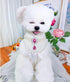 2 Row Pearls Collar for Cats, Rhinestone Necklaces for Small Dogs, Pearl Collar Accessories (Medium, Rosy)