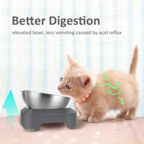Stainless Steel Cat Food Bowl, 15-Angle, Ergonomic Design Reduces Vomiting