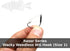 Harmony Fishing - Razor Series Wacky Weedless WG Hooks - Ultimate Bass Fishing Hooks for Wacky & Neko Rig