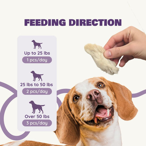 Benji & Louie 2.5 oz, 12 Count Air Dried Rabbit Feet - Whole Rabbit Front Feet with Fur - Natural Healthy Dog Treats