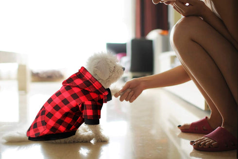 Red Plaid Dog Hoodie Sweater for Dogs with Hat and Pocket (S) - Pet Clothes for Winter