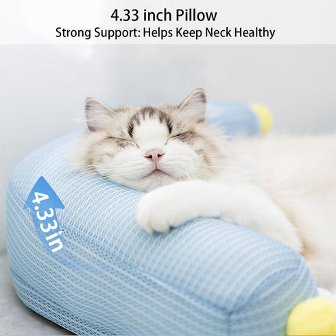 Lunale 21"x15"x4") All-Season Ice Fabric Cat Bed with Cushioned Pillow/Play Ball/Washable Mat for Cats, Kittens & Small
