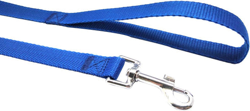 Nylon Training Dog Leash for Small Medium Large Dogs, 30ft Long Leash for Obedience Recall Training, Blue
