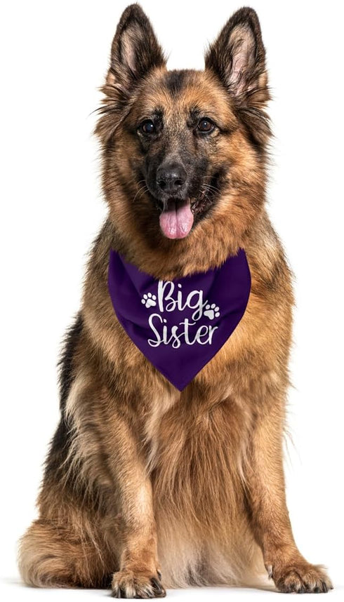corner wind Big Sister Dog Pregnancy Announcement Shirt, Dog Bandana Gift, Gender Reveal Triangle Bibs Accessories
