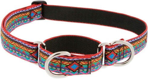 Martingale Large Dog Collar by Lupine, 1" Wide El Paso Design Adjusts 19" to 27"