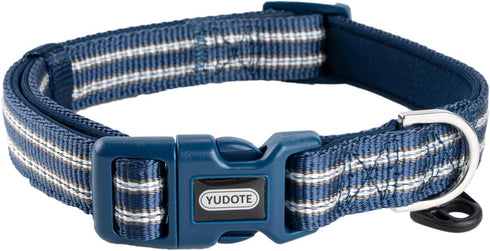 Reflective Nylon Dog Collar - Adjustable Blue Neoprene Padding for Small Dogs (Neck 9.8"-15")