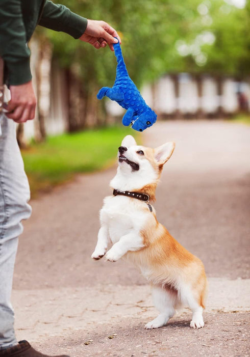 LWBMG Squeaky Dog Toys Stuffed Dog Toys Cute Dinosaur Plush Dog Toy with Crinkle Paper Durable Dog Chew Toys for Small
