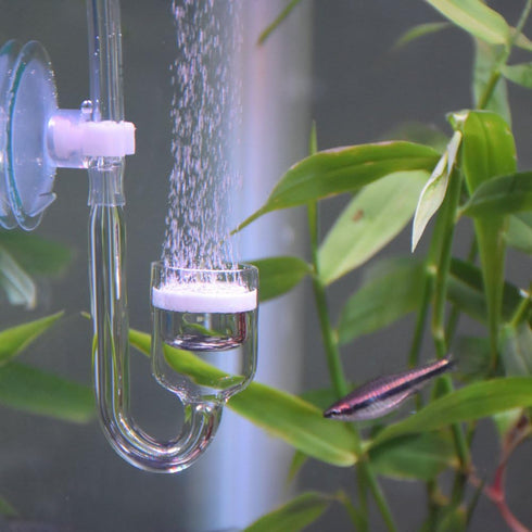 CO2 Diffuser Set, Carbon Dioxide Glass Reactor U Shape Tube for Aquarium Plants Tank