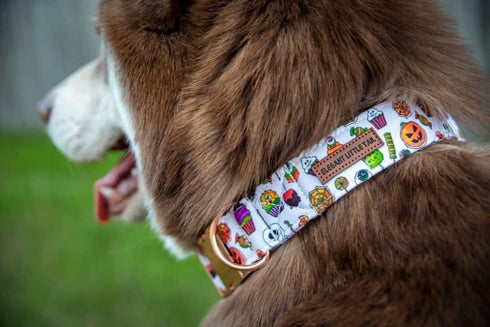 Elegant Little Tail Dog Collar with Bow - Fall Halloween Candy Bow Collar for Small Dogs