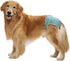 3 Pack Reusable Dog Diapers Female Large Medium Breed, Adjustable Waistline for Heat, Incontinence, Washable
