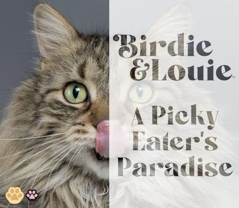 Pack 6 5 3 Oz 30 Birdie & Louie Wet Cat Food Variety of Tuna Flavors | Cans of Different Tuna Flavors | All Natural