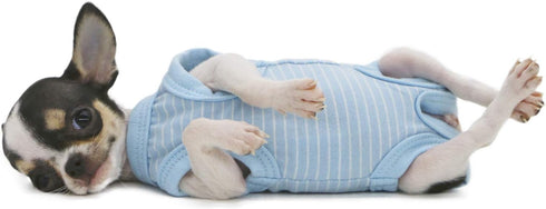 LOPHIPETS Girl Dog Shirts Recovery Suit Pajamas for Small Teacup Dog Chihuahua Yorkie Puppy Cat Clothes-Cambridge Blue Strips/XXS