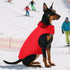 ASENKU Dog Winter Coat - Fleece Doggie Jacket Plaid Reversible Vest, Waterproof Windproof Cold Weather Clothes for