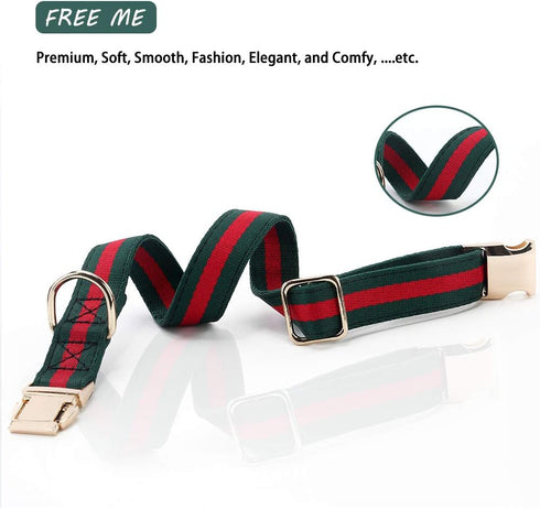 Premium Dog Collar, Cute Dog Collars Luxury Style, Durable Pet Collars with Metal Buckle Safety for Medium Dogs