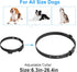 Dog Nylon Collar Strap for Electronic Fence Training, 3/4 Inch Replacement Strap with 2 Holes, Compatible with Most
