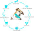 Guardians Dog Chew Toys for Aggressive Chewers - Dog Toothbrush Care Cleaning Stick for Small Middle Dogs (Blue+Green)