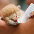 Xuandea 5Pack Kitten Bottle for Nursing Puppy Milk Kitten Bottles Feeding Kit Silicone Nipple for Newborn Pets Kittens