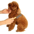Silver Dog and Cat Combs for Grooming Long Haired Pets, Stainless Steel Pin Teeth Wooden Handle