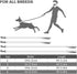 Taglory Dog Leash - Black Double-Sided Reflective Leash with Soft Neoprene Padded Handle, 3/4 inch by 6 ft for Small