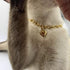 Dog Collar and Cat Chain Necklace, Stainless Steel Adjustable 18K Gold Heart-Shaped Necklace for Small Pets, Gold, 7