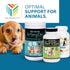 Chewable Dog Nutrition Companion - 60 Beef Tabs for Puppies to Adults